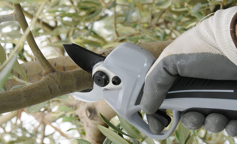 forbici my pruning volpi