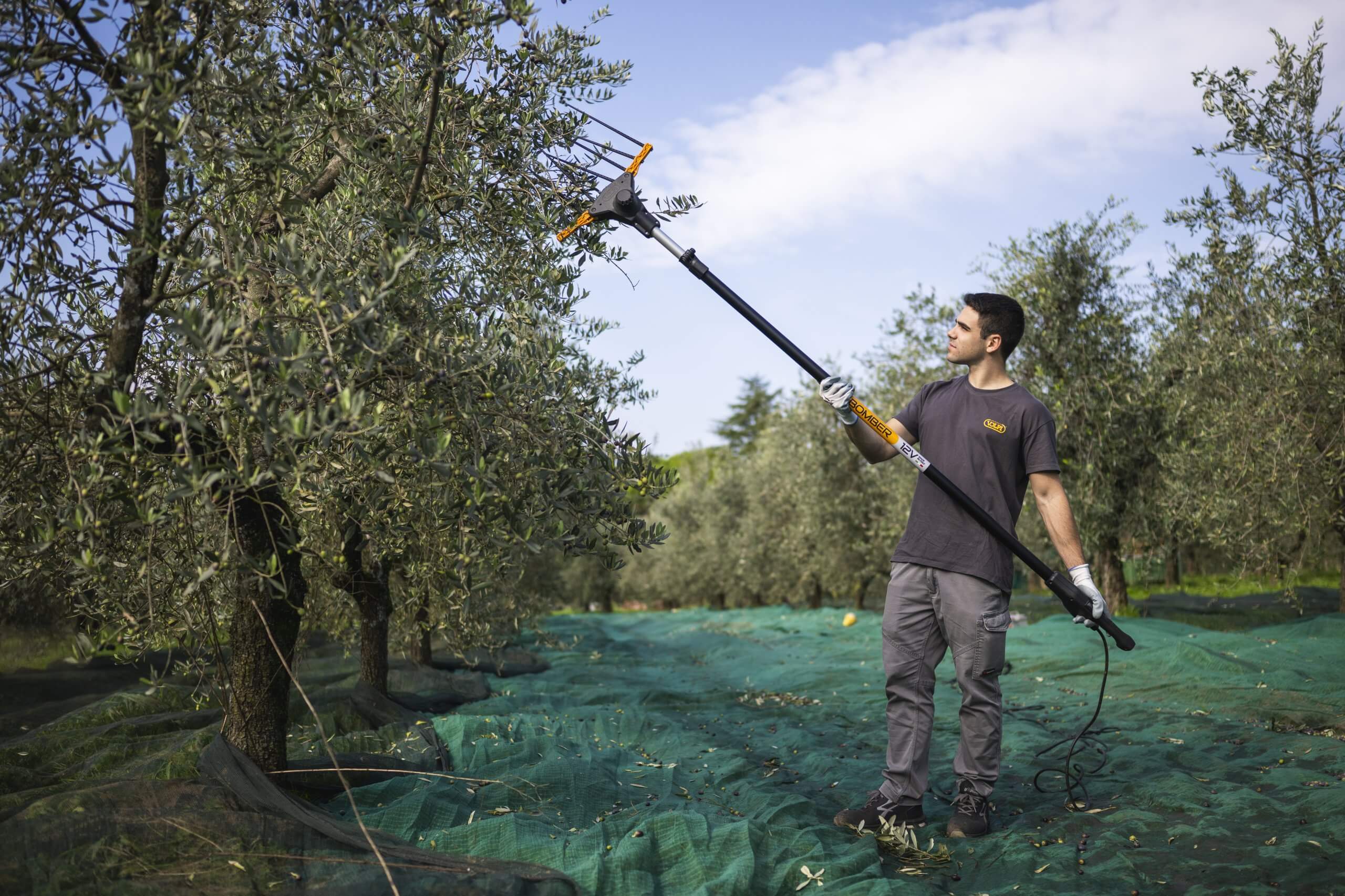 Bomber squotitore per olive