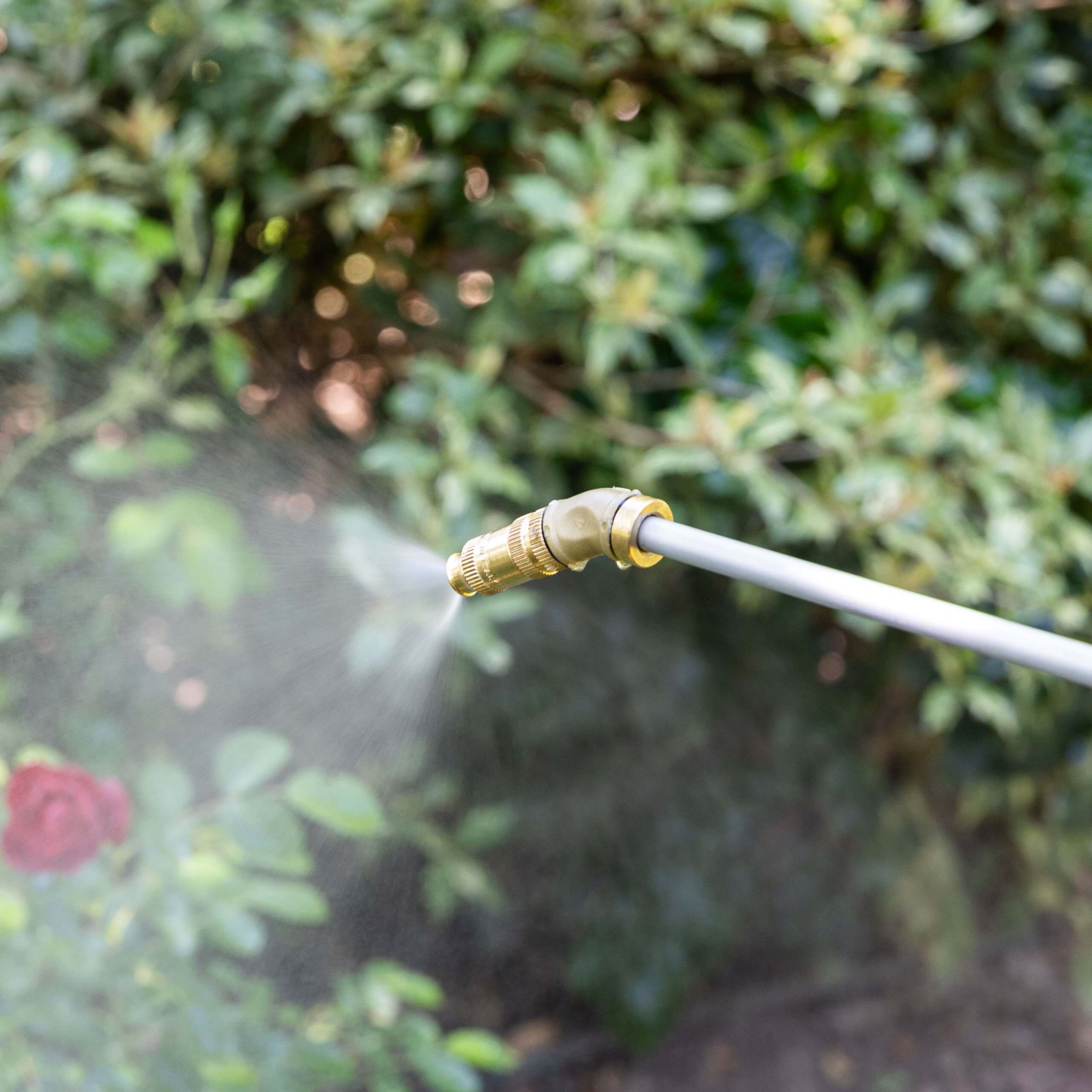 Disinfestazione zanzare in giardino con animali e piante fiorite