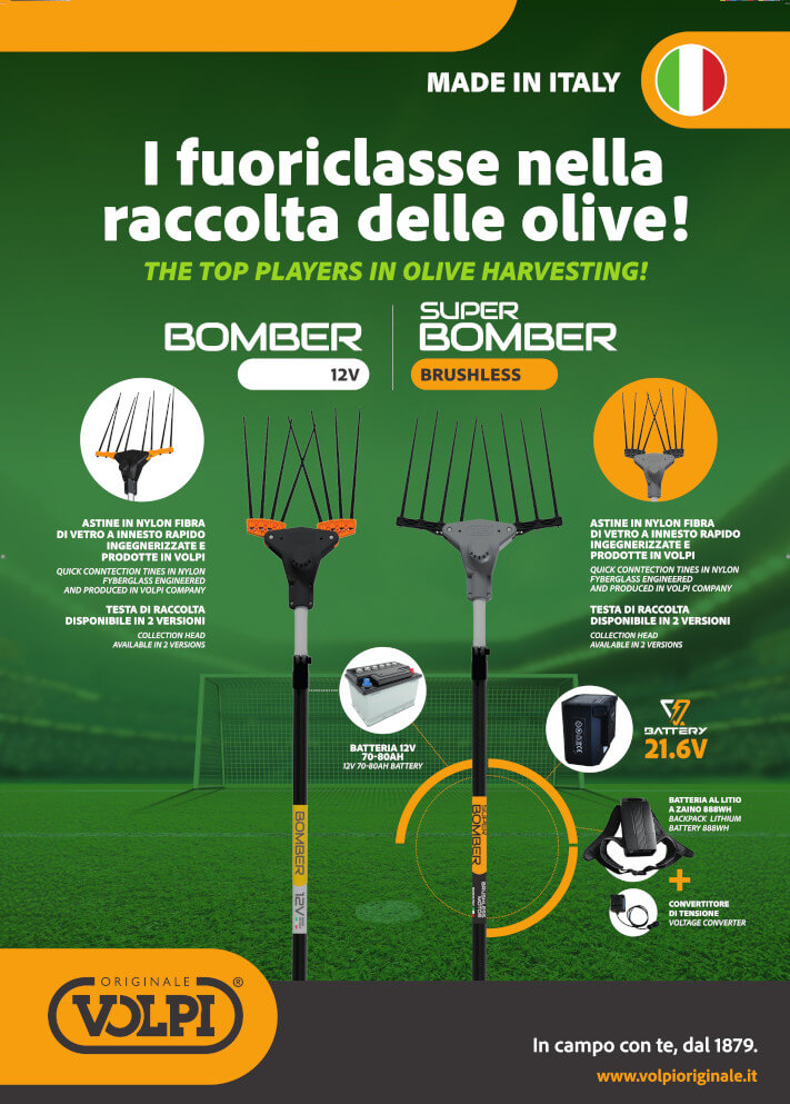 poster-linea-bomber- scuotitori olive 2025-volpi