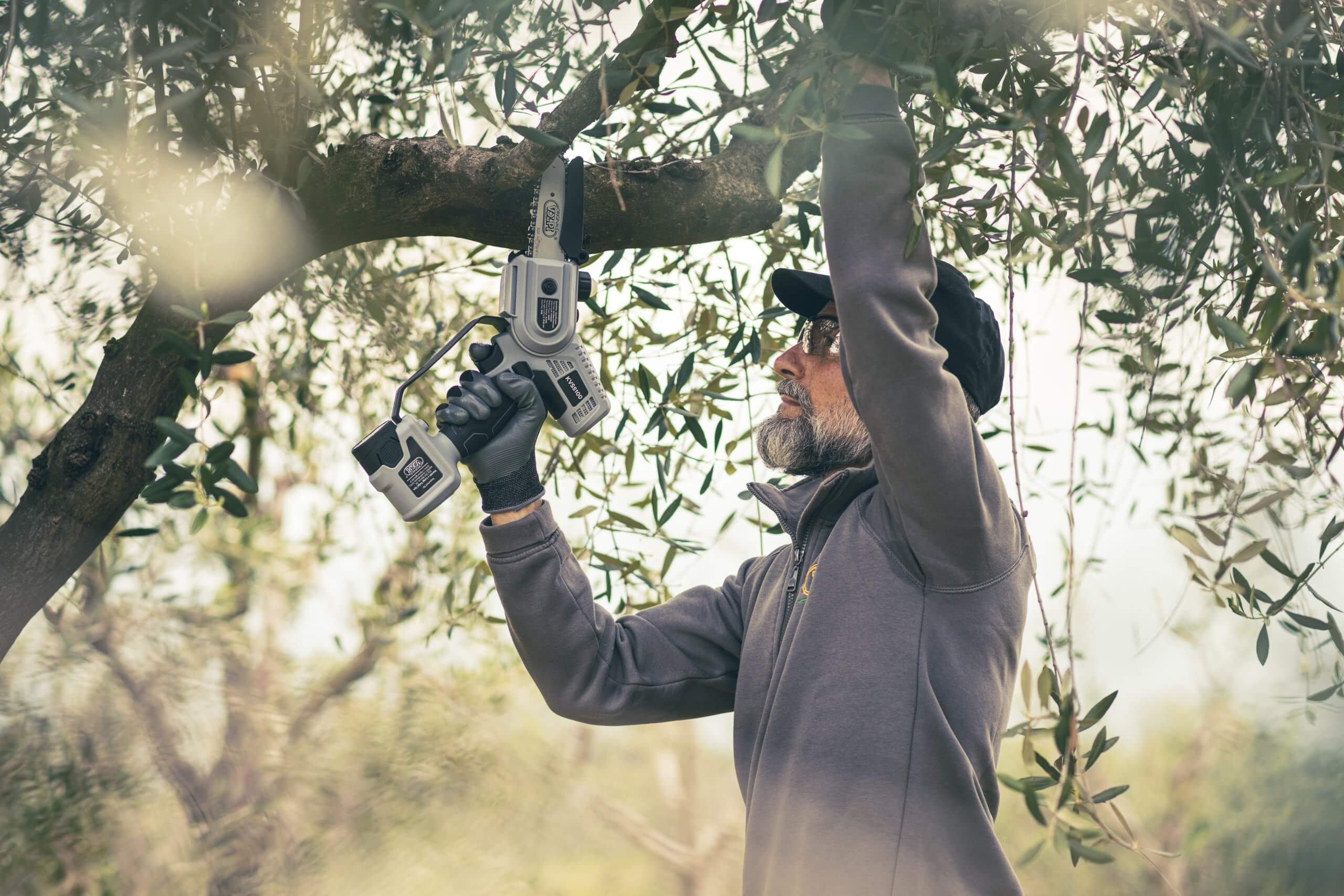 potatura corretta olivi con strumenti volpi